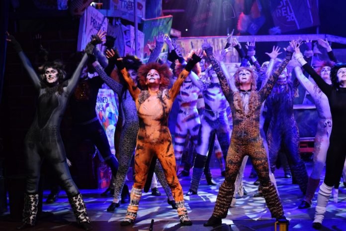 cats at radlett centre review